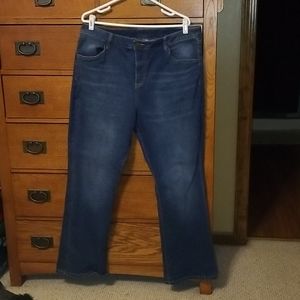 Evri Midrise bootcut jeans